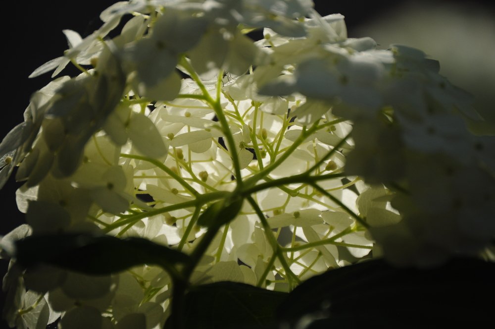 Photograph by Денис