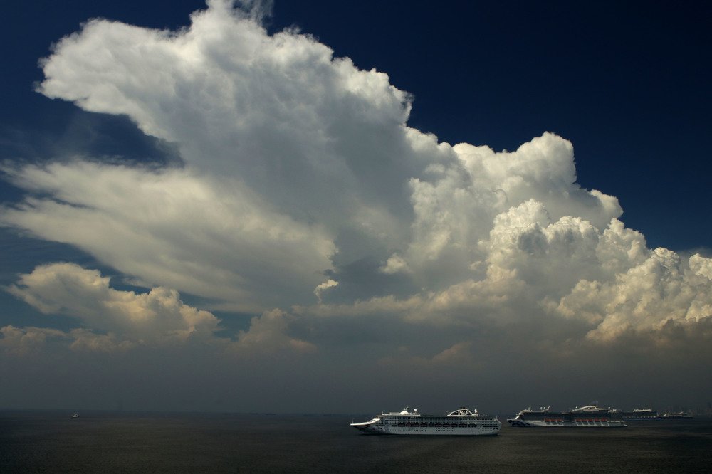 Photograph by Rajesh Tandon