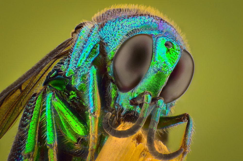 Фотография автора Danny Radius