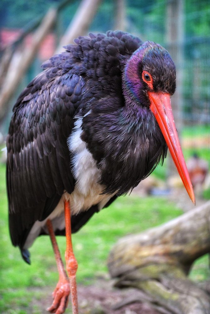 Фотография автора Justyna Jeżak