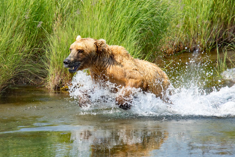 Photograph by Raquel Barao