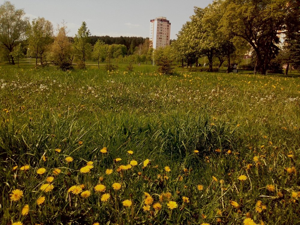 Photograph by Анна
