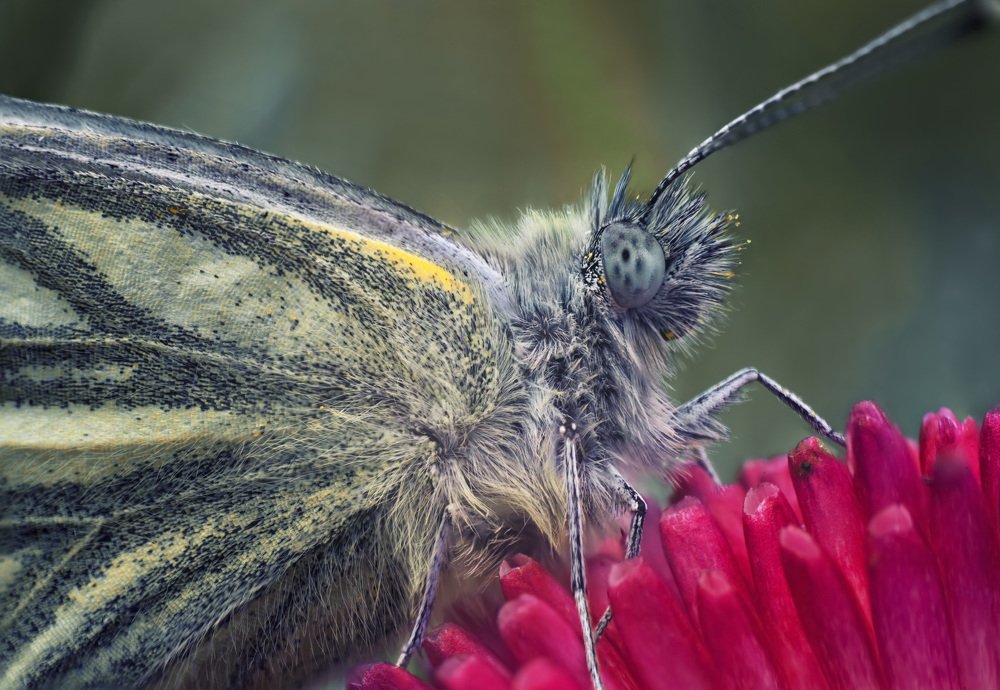 Photograph by Анастасия Третьякова