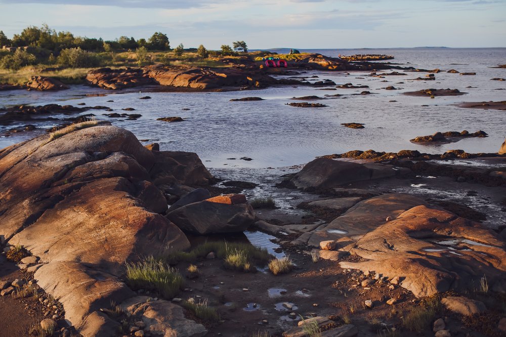 Photograph by Полина Нечаева