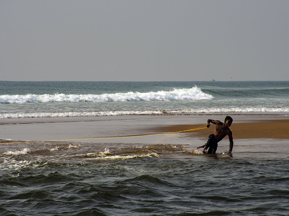 The struggle of life