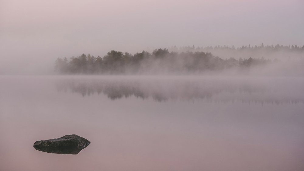 Photograph by Светлана Краюшкина