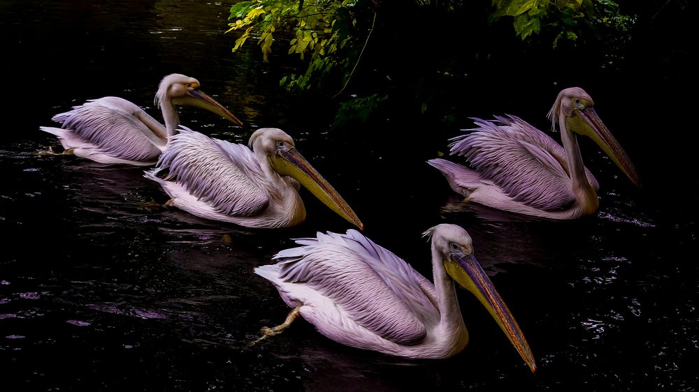 Photograph by Валерия Машкова