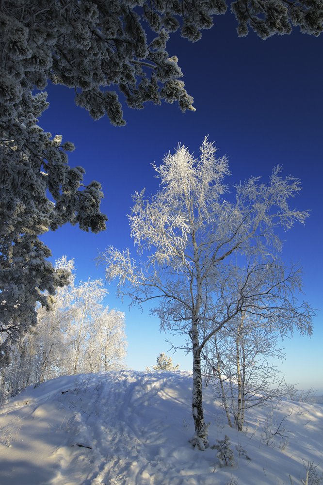 Photograph by Николай Ларионов