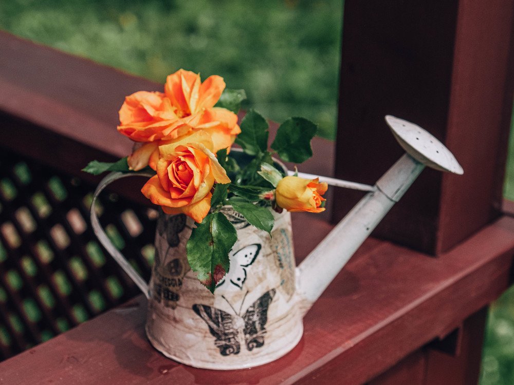 Photograph by Татьяна Ефименко