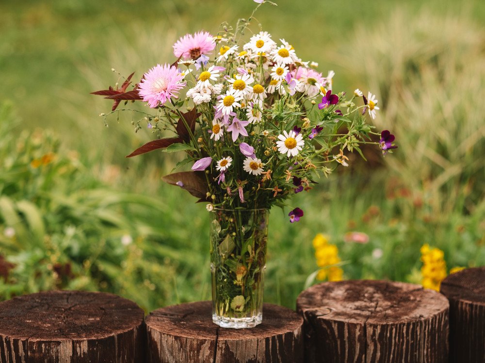 Photograph by Татьяна Ефименко