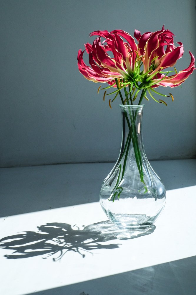 Photograph by Ирина Хожаинова