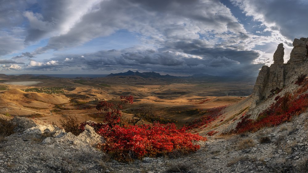 Разгорался скумпии пожар