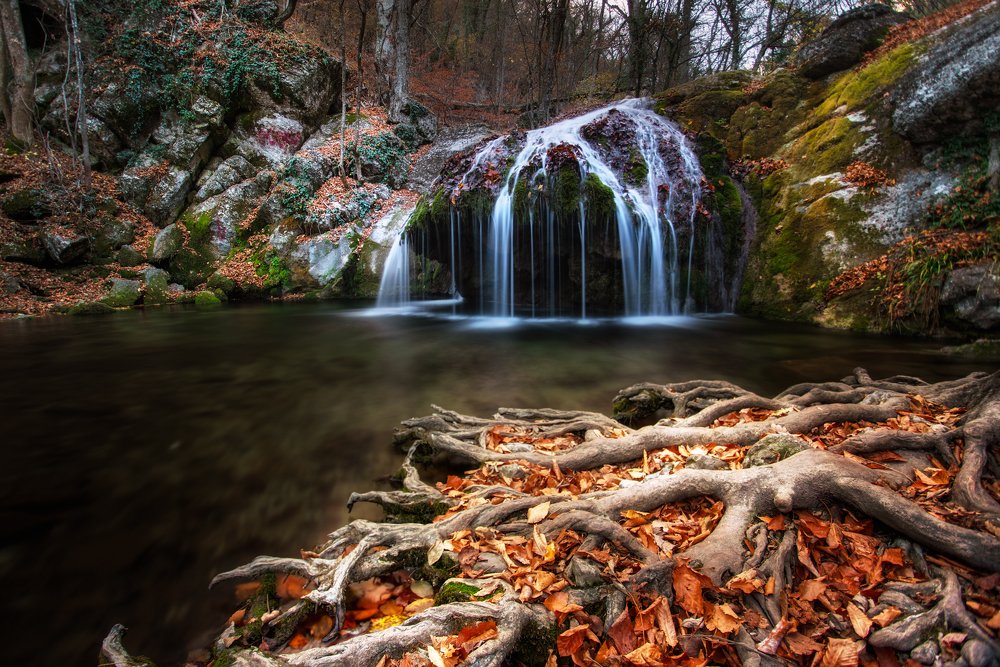 Photograph by Юлия Шумляева