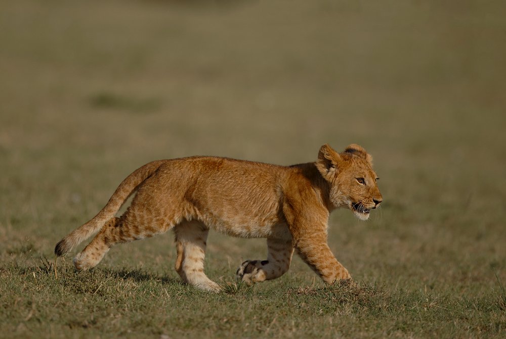 Photograph by Hrishikesh Sabnis