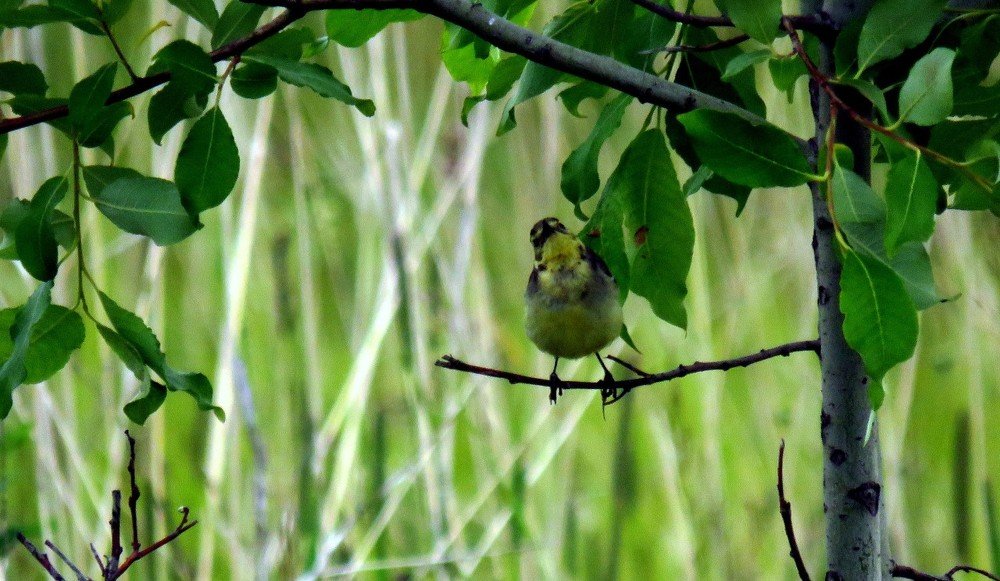 Photograph by Дмитрий Сорокин