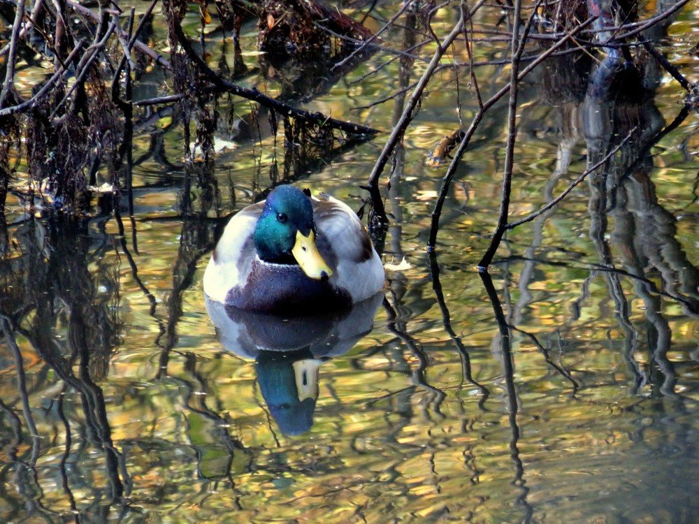 Photograph by Дмитрий Сорокин