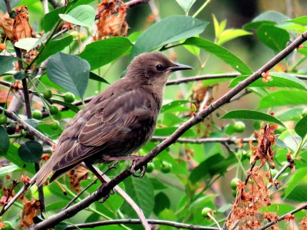 Photograph by Дмитрий Сорокин