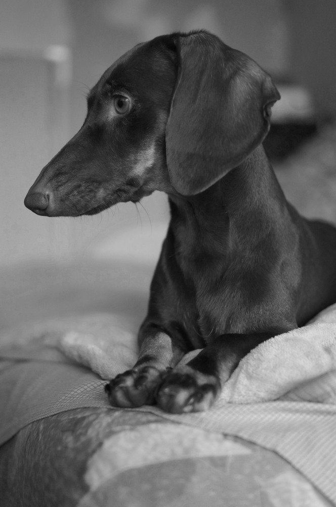 Photograph by Наталия Андреева