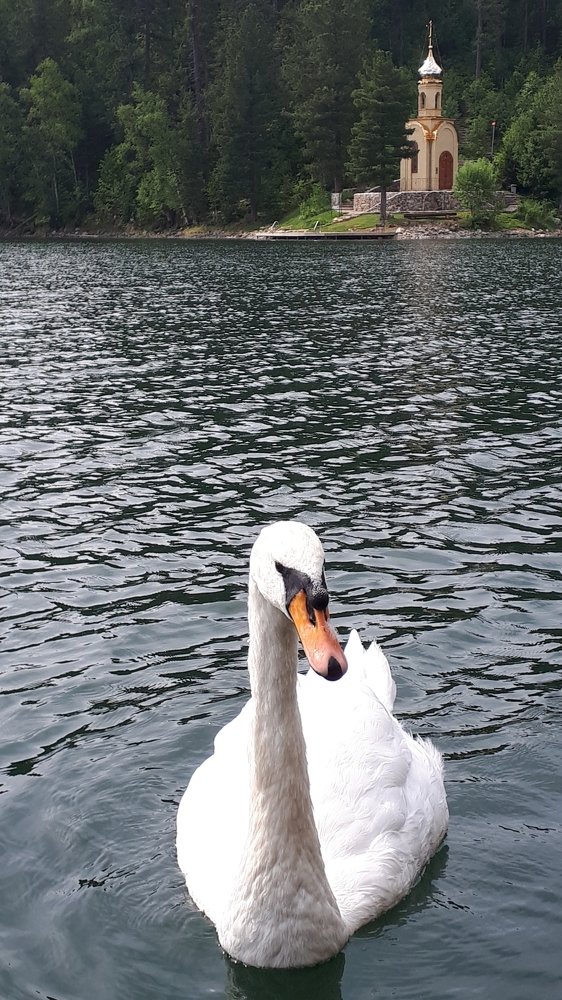 Photograph by Кадырова Анастасия