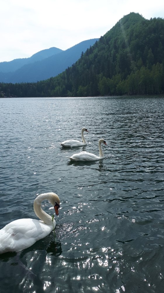 Photograph by Кадырова Анастасия