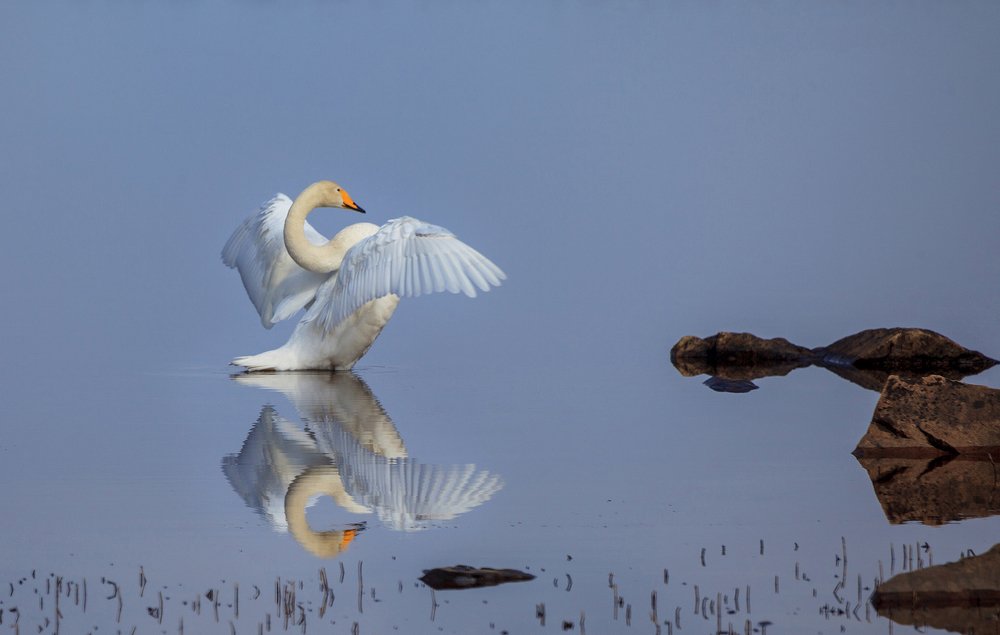 Свет мой зеркальце скажи ...
