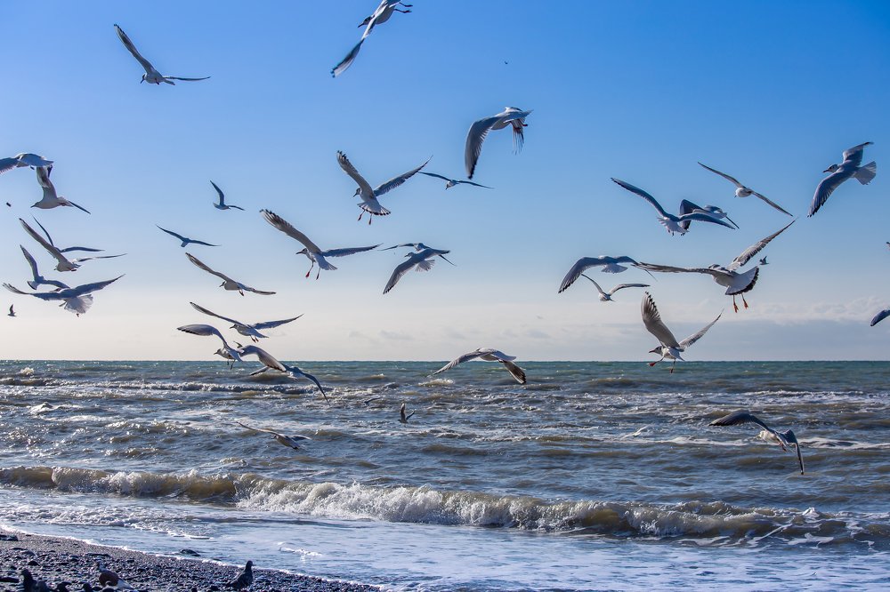 Photograph by Евгения Бочарова