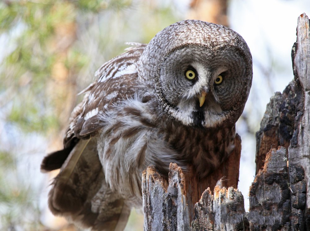 Неужели это все мои?