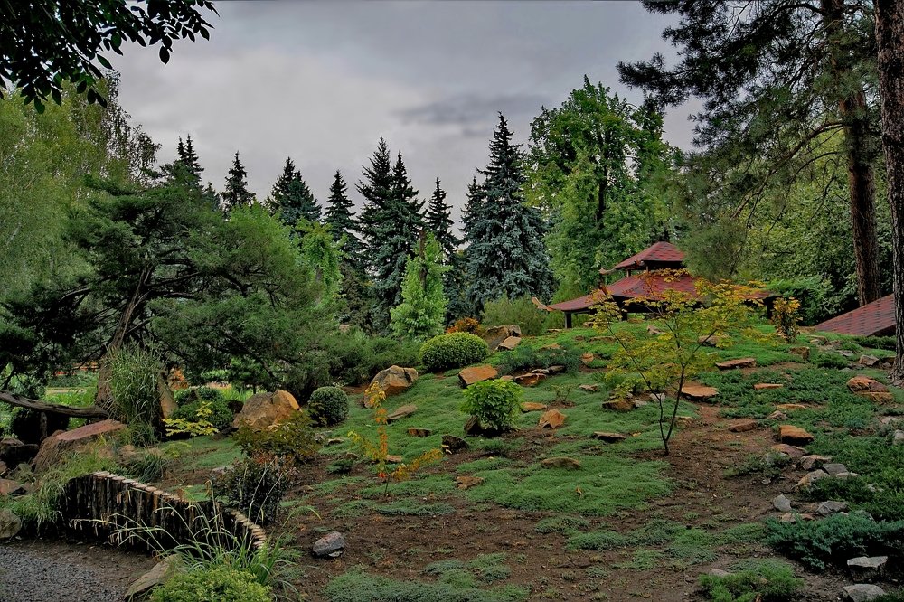 Photograph by Nikolay Cklyr