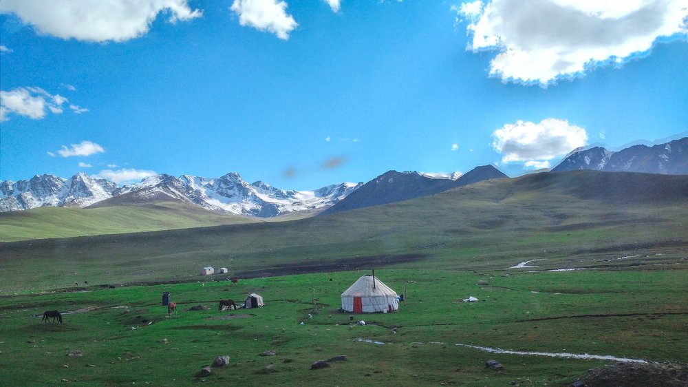 Photo #4960564