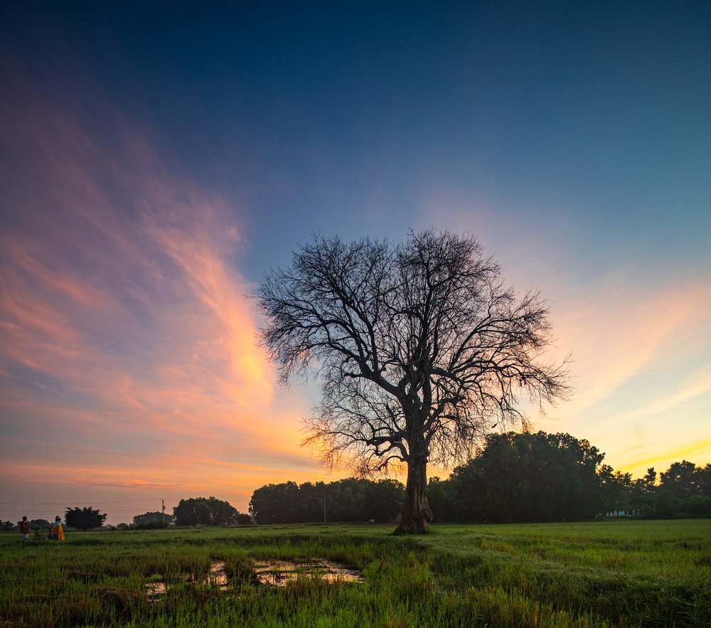 Photograph by Trung Duong