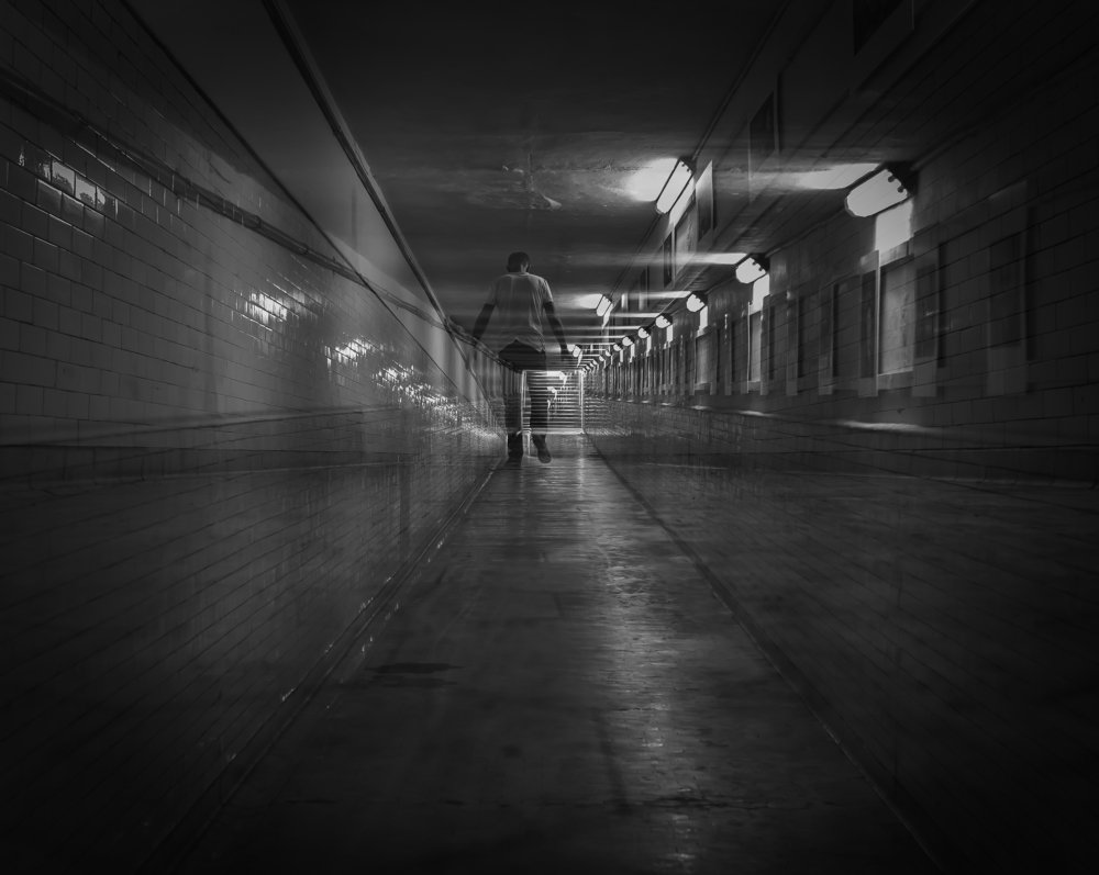 Photograph by Adam Czarniewicz