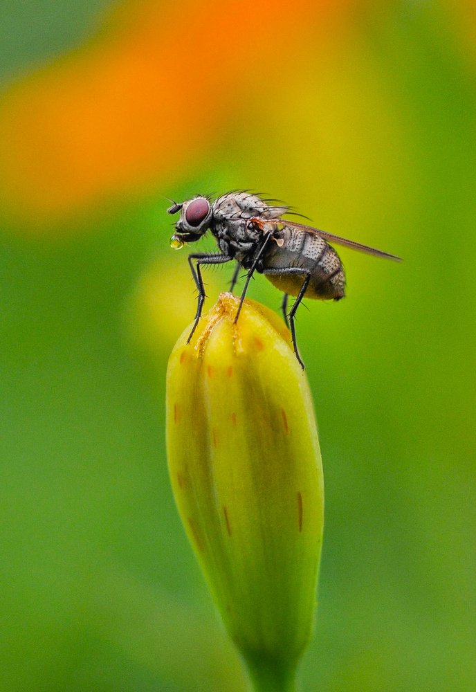 Photograph by Олеся zme