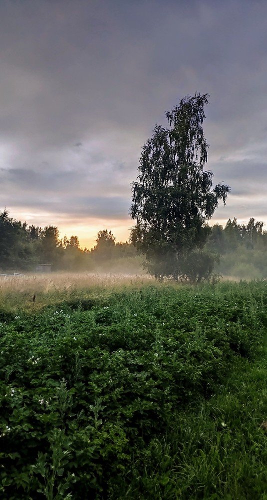 Фотография автора Азифат Ерохова