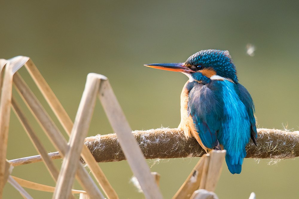 Photograph by Noa Táboas