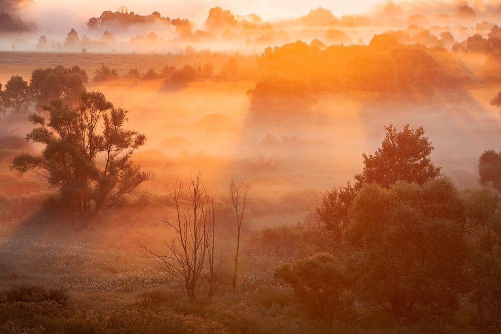 Фотография автора Юрий Сорокин