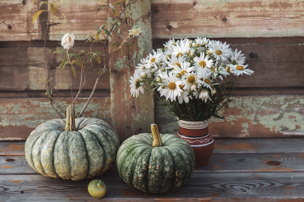 Photograph by Екатерина Дьячкова