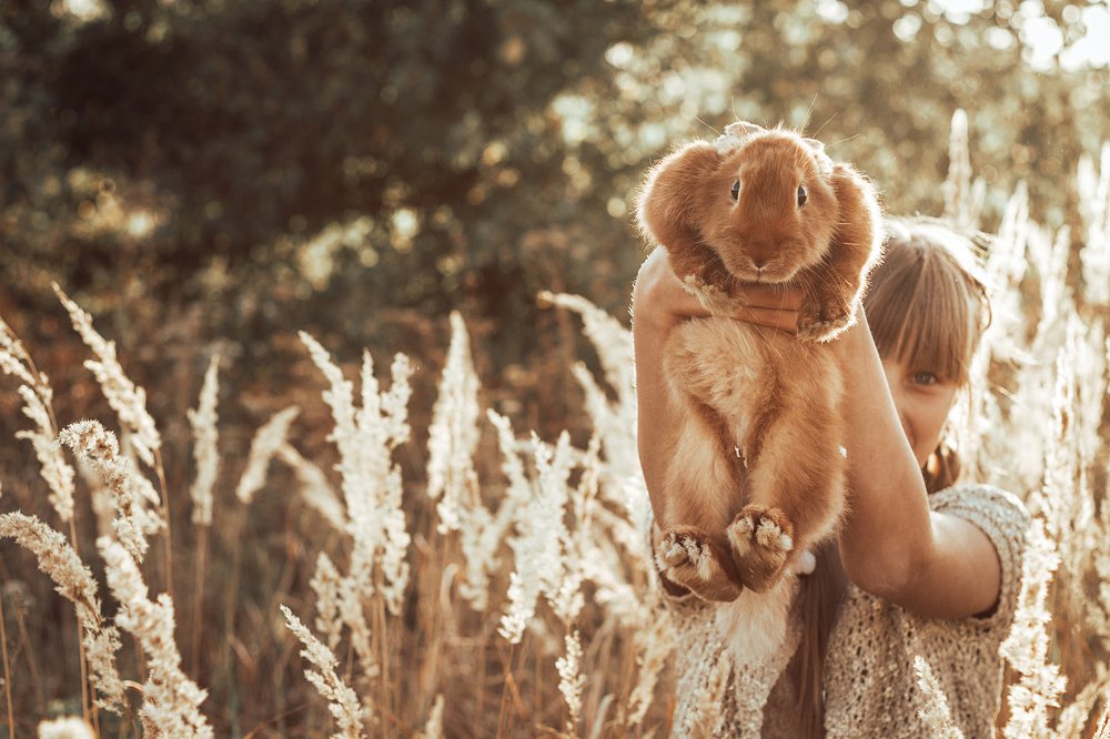 Photograph by Вера Наземкина - Соколова