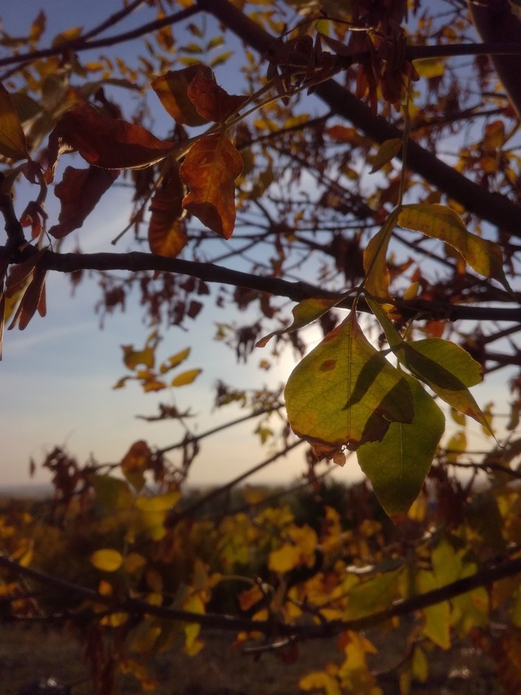 Photo #4961029