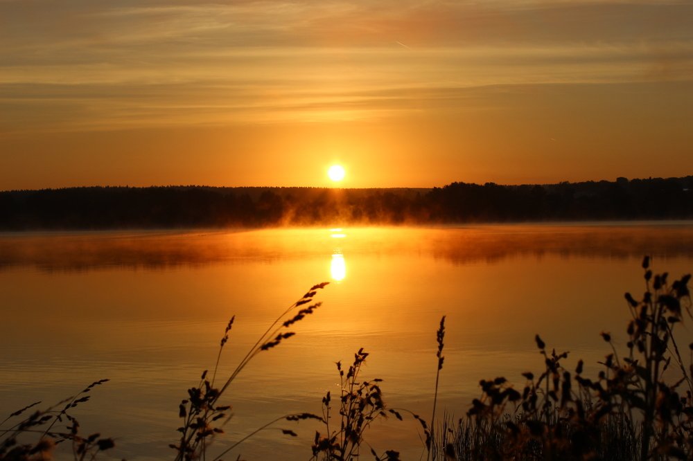 Photograph by Елена Панькова