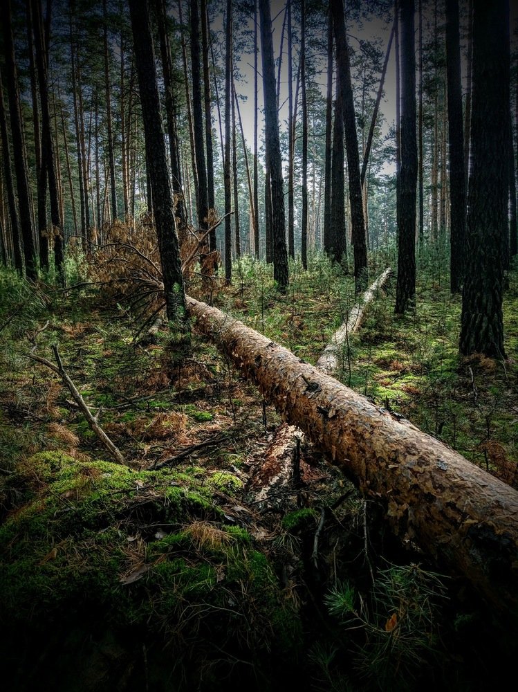 После урагана