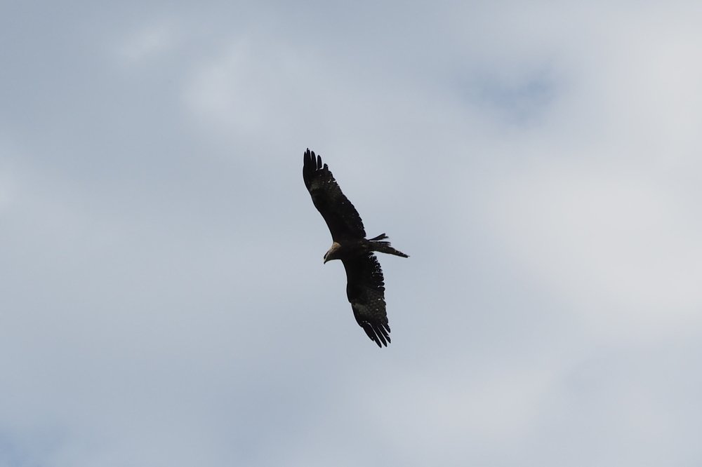 Photograph by Дмитрий Решетник