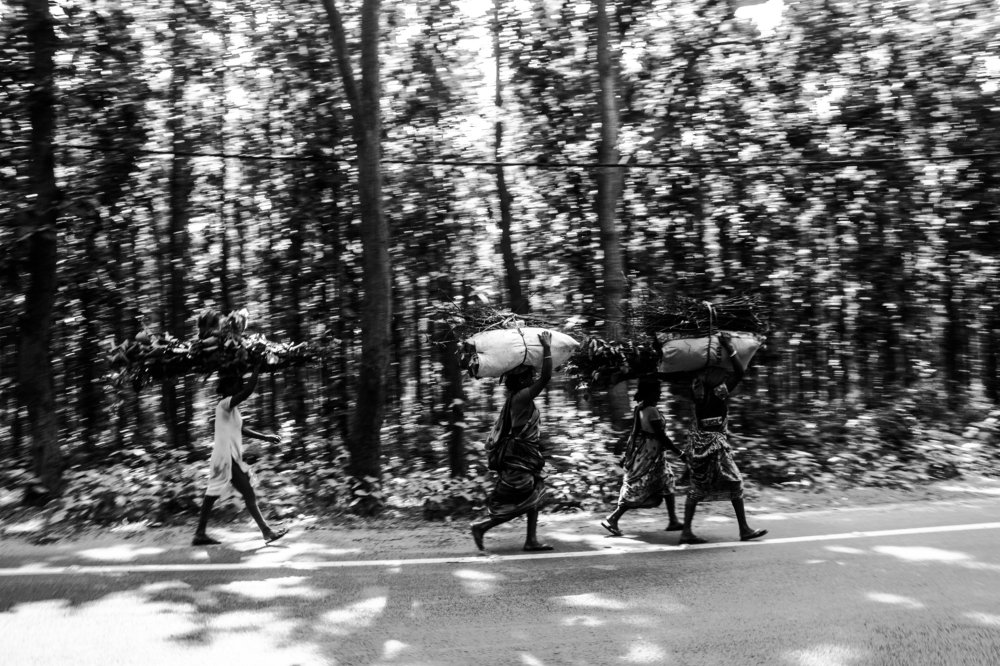 Photograph by Susobhan Biswas