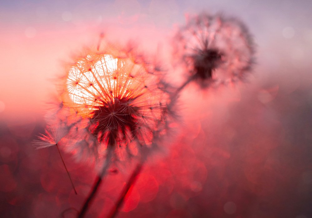 Photograph by Екатерина Потанина