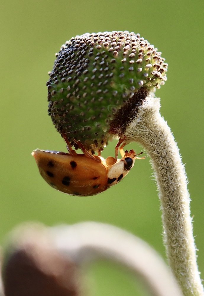 Photograph by Малика Маткарим