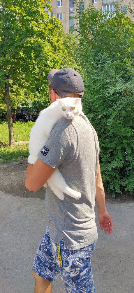 Photograph by Алёна