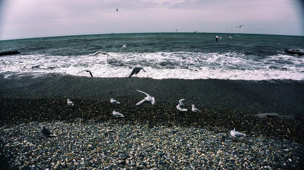 Photograph by Виталий Павлов