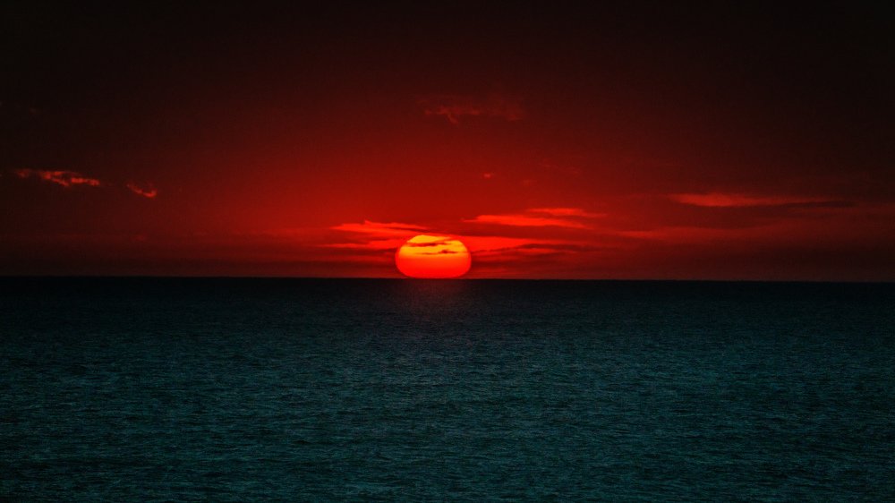 Photograph by Виталий Павлов