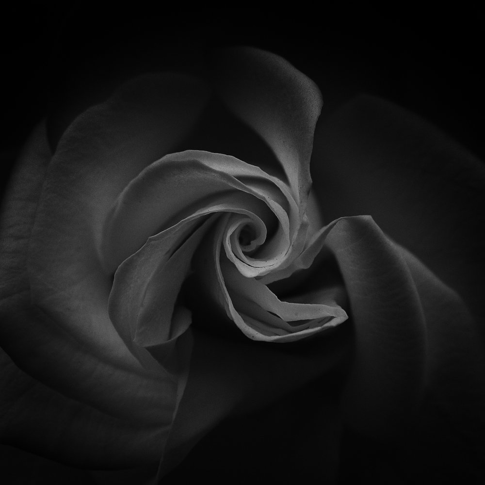 Photograph by Виталий Павлов