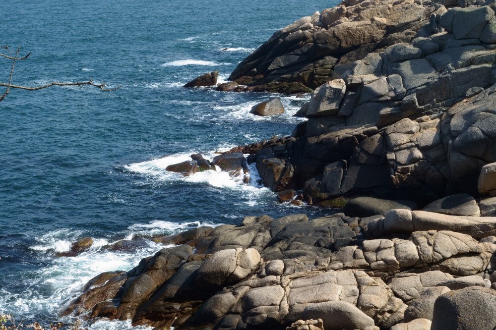 Photograph by Марусевич Светлана