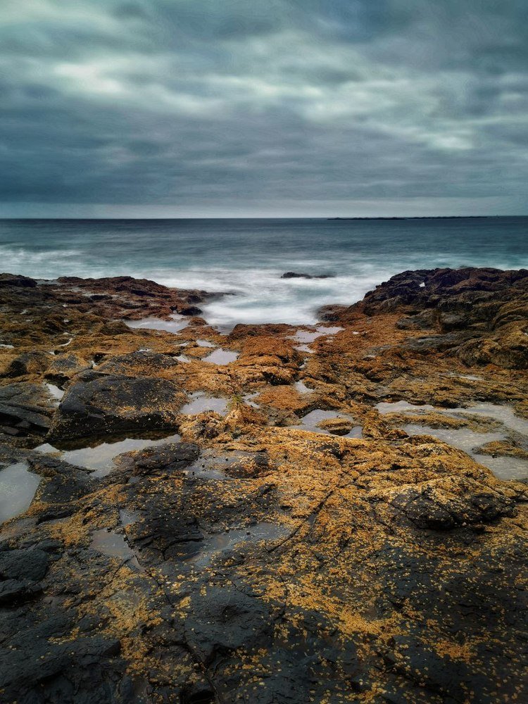 Фотография автора Mansoor Heydaryan